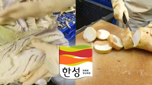 농식품부, '변색 배추' 한성식품 현장 조사 착수 