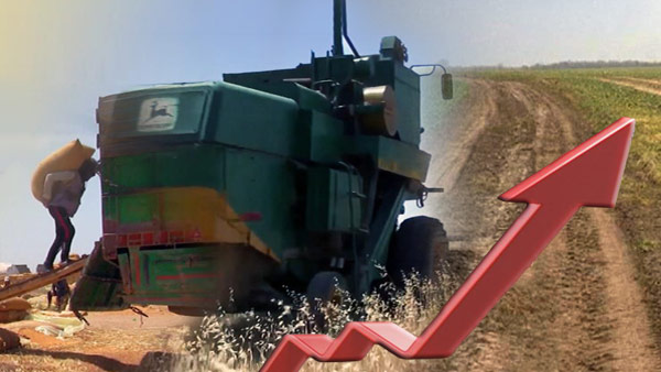 식품제조 중소기업 10곳 중 8곳 "곡물가 급등에 경영악화"