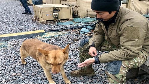 외교부, '우크라 무단입국' 이근 전 대위 경찰에 고발