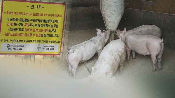 한덕수 총리 "돼지열병 방역에 가용자원 총동원" 긴급지시