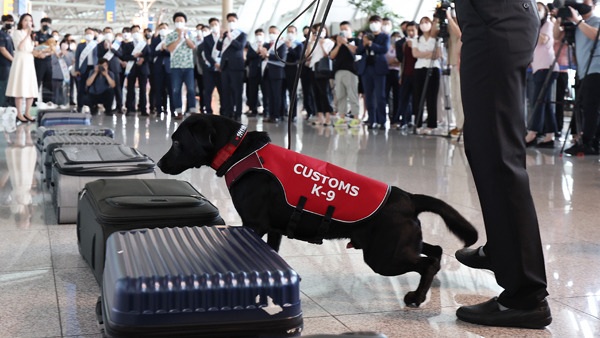 "신종 마약 급증하는데‥탐지견은 필로폰 등 6종 냄새만 맡아"