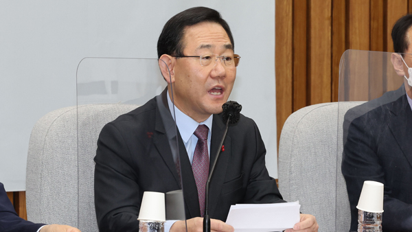 주호영 "민주당 '서민감세', 제비 다리 부러뜨리고 고치려는 것"