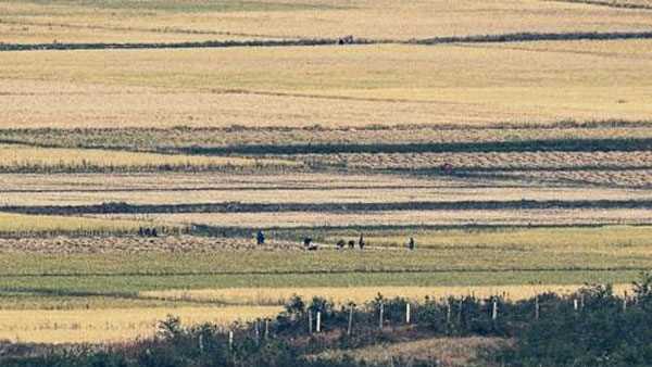 "북한, 지난달 중국산 쌀 3만t 수입‥3년 만에 최대"