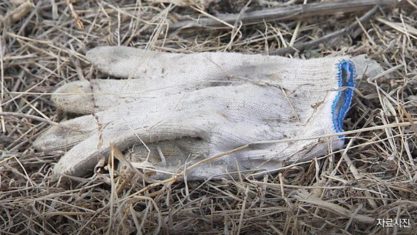 가평 별장 축대 위에서 작업 하던 60대, 5미터 아래로 떨어져 사망