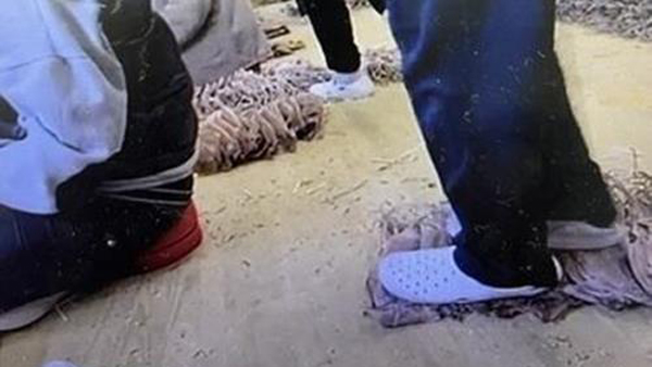 건조 오징어 신발로 밟아 편 식품업체 적발‥제품 전량회수