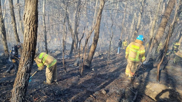 부산 사상구 산불‥임야 660㎡ 소실 