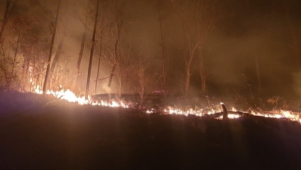 전남 고흥군 야산에서 불‥임야 6600제곱미터 소실