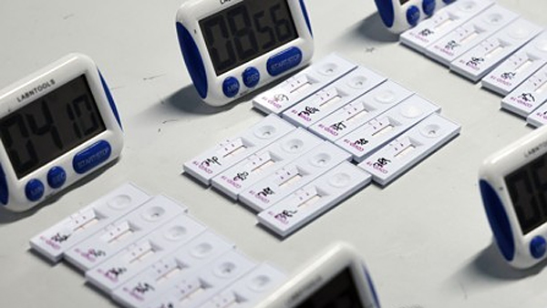 교육부, 유치원·초등생 주 2회 '등교 전 신속항원검사' 검토