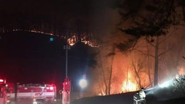 울산·태안·단양 등 전국에서 잇따라 산불 발생