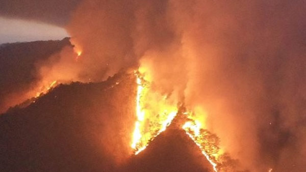 [울진삼척산불] 산불 피해면적 2만 헥타르 육박
