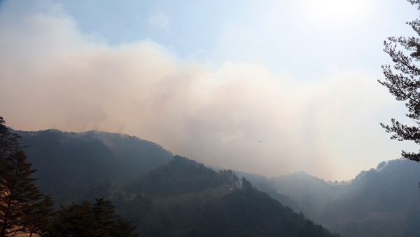 [울진삼척산불] 울진 산불 8일째‥'금강송 숲' 소광리 일대 완전 진화 목표