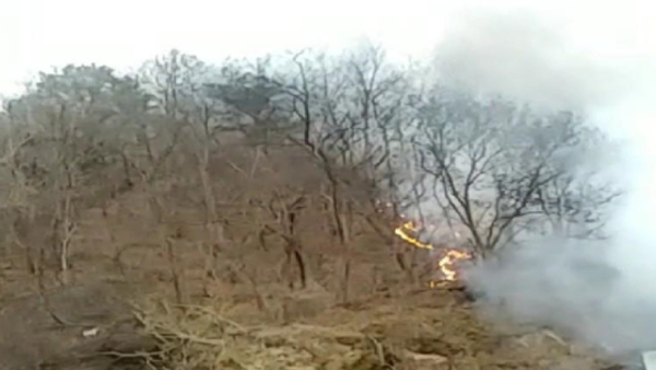 김천서 거미줄 태우려다 산불‥1시간 20분만에 진화