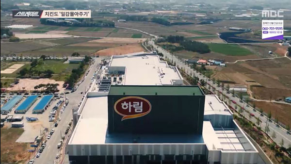 스트레이트, 치킨 프랜차이즈 집중 취재