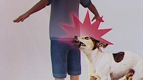 놀이터서 목줄 안 채운 개가 8세 남아 물어‥견주 입건