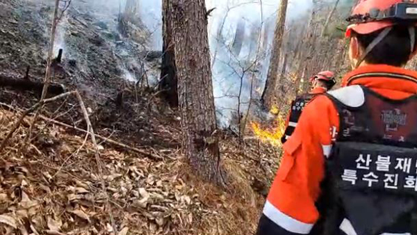 전북 무주 민주지산서 불‥6시간반 만에 진화