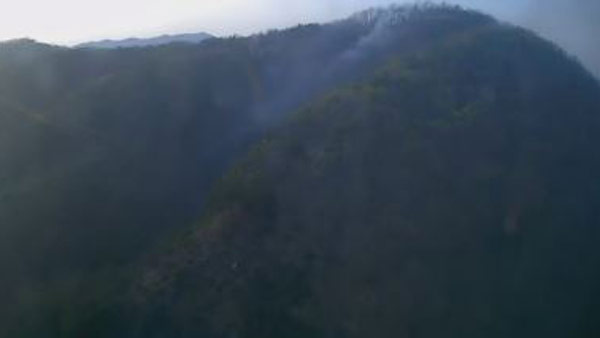 충남 계룡시 야산에서 산불‥2시간 만에 진화 완료