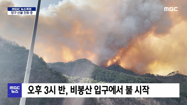 [특보] The situation of the forest fire as seen in the video reported by viewers