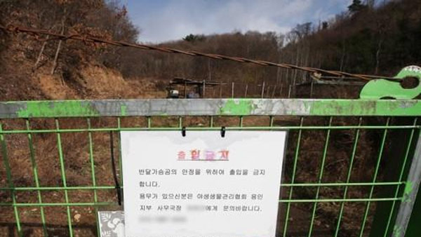 용인 사육장 탈출 마지막 반달곰, 5개월 만에 포획돼 사살