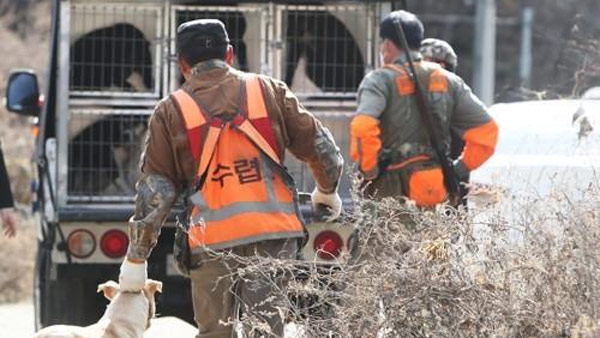 용인 사육장 탈출 마지막 반달곰, 5개월 만에 포획돼 사살