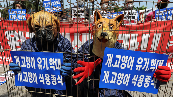 "성남 모란 개시장 폐쇄해야"‥동물권단체 규탄 시위