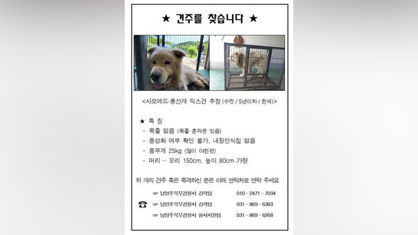 검찰, '남양주 개물림 사망 사건' 개 주인 구속 기소