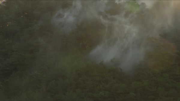 경북 울진 산불 23시간 반만에 큰불 잡아‥"잔불 정리에 총력" 