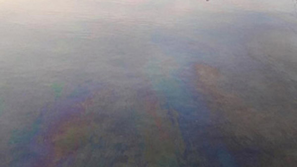 경기 하남에 30미터 '기름띠'‥인근 업소 조사