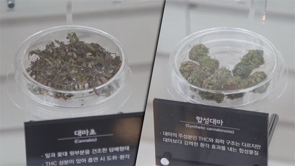 [PD수첩] 대한민국에서 마약계의 대모가 나온 까닭