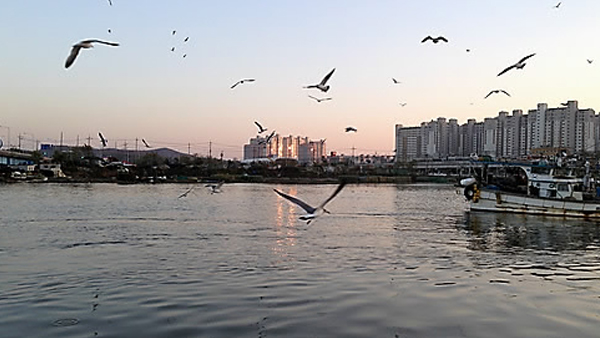 인천 소래포구 인근 해상서 50대 여성 숨진 채 발견