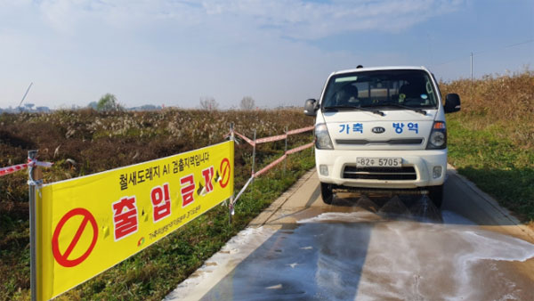 경기 안성천 야생오리서 조류인플루엔자 검출‥주변 통행 금지