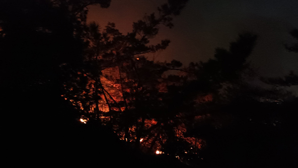 경기 과천 관악산서 불‥2시간 반만에 큰 불 잡아