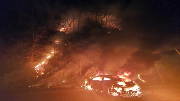 승용차 나무 추돌로 불‥야산 330㎡ 태워