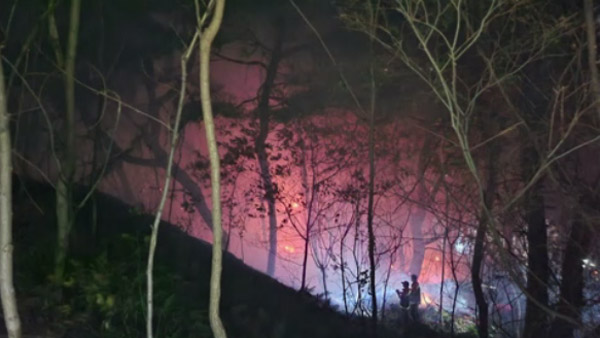 경남 남해 산불 1시간 만에 진화..인명피해 없어