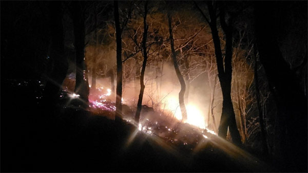 강릉 왕산면 3층 주택 화재‥인근 야산으로 번져 소방당국 진화