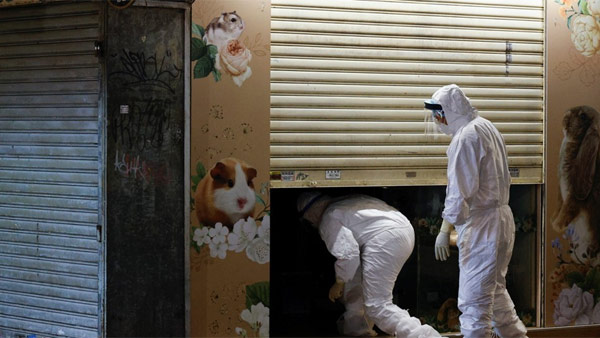 [World Now] '바이러스 발견' 홍콩 햄스터 2천마리 안락사 파문커져