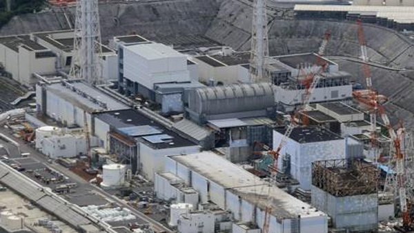 후쿠시마 앞바다 또 '세슘 우럭'‥기준치 14배 검출