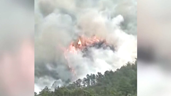 132명 탄 중국 국내선 여객기 남부서 산에 추락