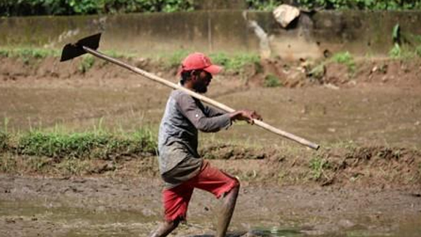 실패한 '유기농 국가'‥스리랑카의 눈물