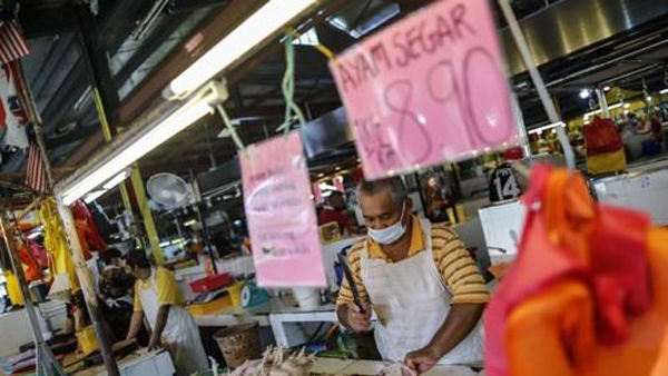 말레이시아, '품귀현상' 닭 전면 수출금지‥싱가포르 등 수입국가 연쇄 충격
