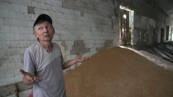 우크라 농업부 "6월 곡물 수출 55.5% 감소"