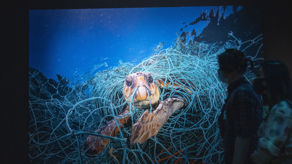 "해안이 죽음의 땅으로 변해" 유엔총장 '해양위기' 선포