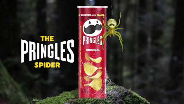 [World Now] 콧수염이 닮았네‥과자캐릭터를 쏙 빼닮은 거미?