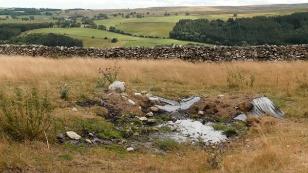 [World Now] 영국 "머리도 매일 감지 마"