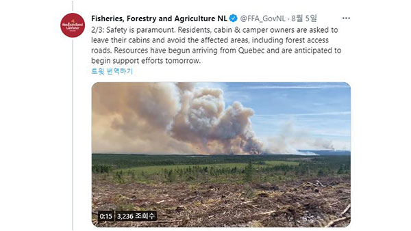 캐나다 최동단 50년만 최악의 산불‥비상사태 선포