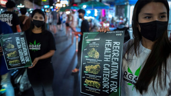 태국, 대마 합법화 2달 만에 '판매 금지' 선회