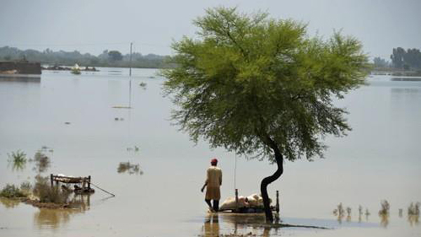 파키스탄 장관 "홍수 피해 13조원‥복구에 5년 걸릴 것"