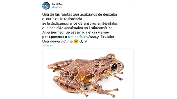 [World Now] 신종 개구리 이름이 '저항'‥작명에 담긴 슬픈 사연