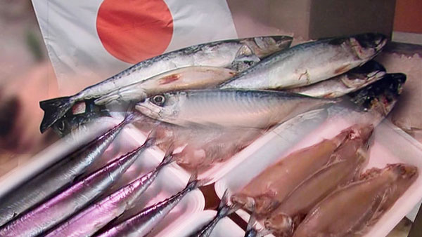 지난달 일본 어패류 수입량 30% 넘게 감소‥수입액 동시 줄어