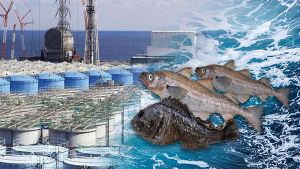 해수차관 "방사능검사 게시판 통한 수산물 검사 모두 '적합'"