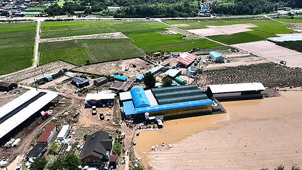 집중호우에 여의도 236배 농지 피해‥가축 약 97만 마리 폐사